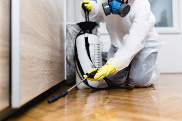 Best Mosquito Control Services  in Bronte, TX