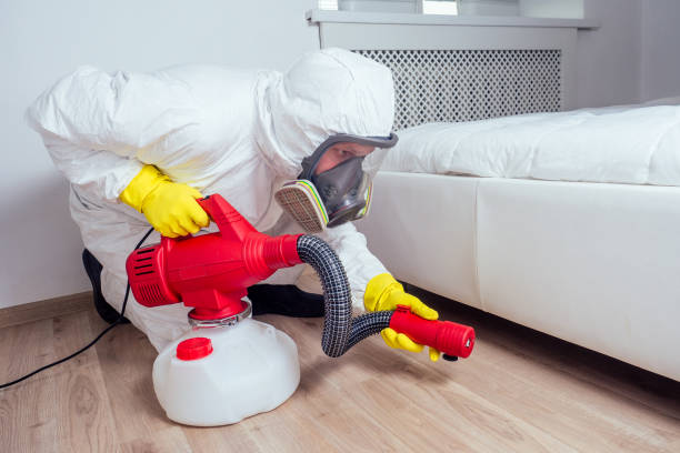Best Pest Inspection Near Me  in Bronte, TX