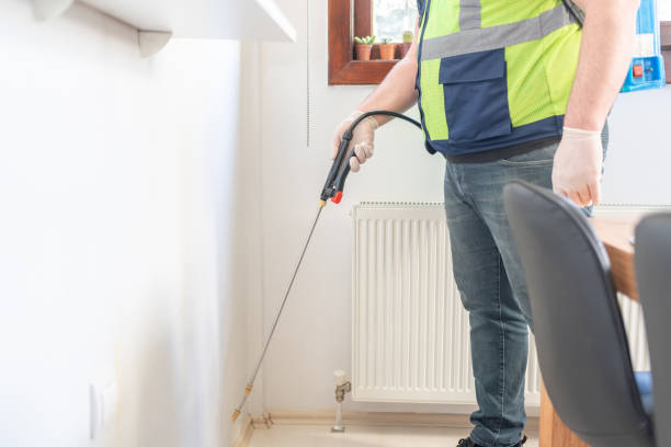 Wasp Removal Services in Bronte, TX