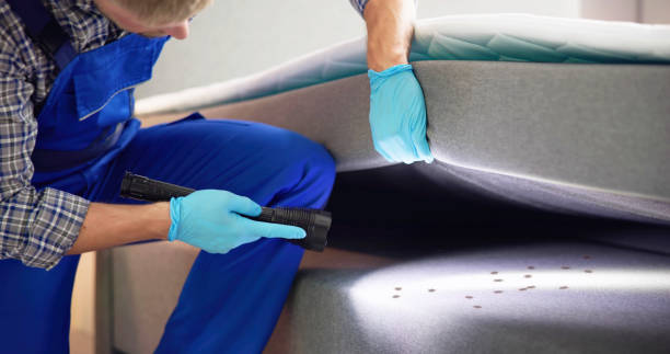 Best Affordable Pest Control Services  in Bronte, TX