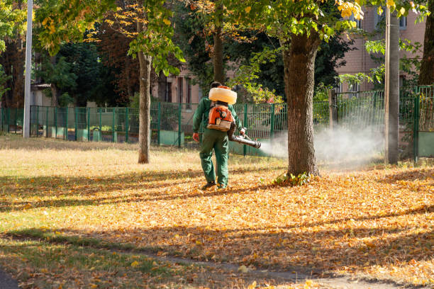 Best Bed Bug Extermination  in Bronte, TX