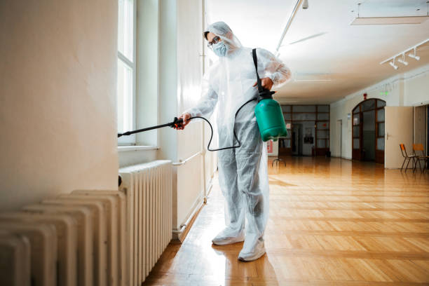 Best Local Pest Control Services  in Bronte, TX
